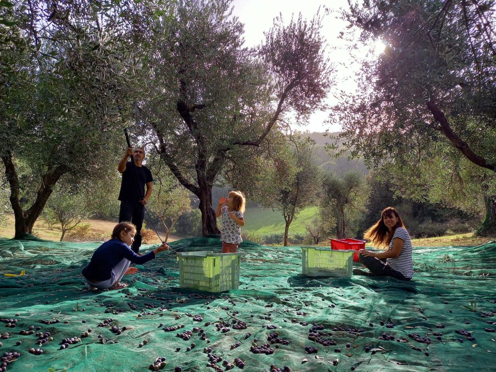 WorkAway והמציאות